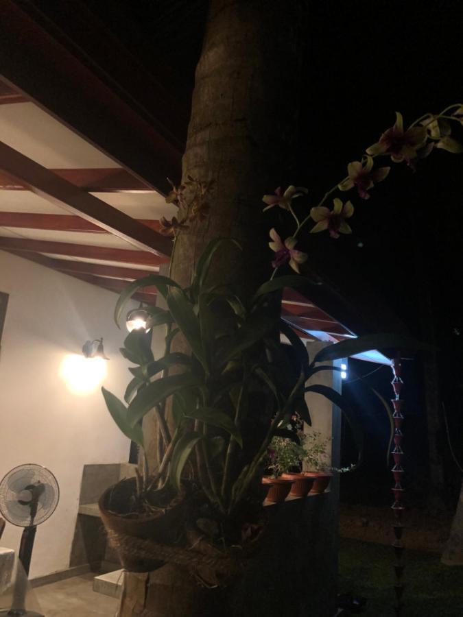 Lohas Villa Hiriketiya Dikwella Exteriör bild