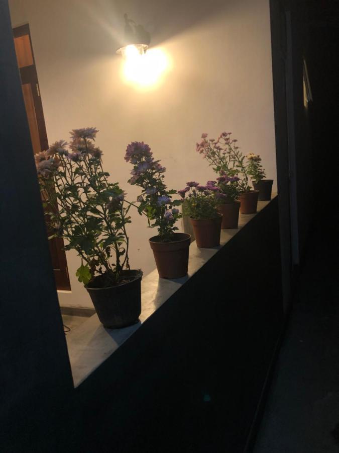 Lohas Villa Hiriketiya Dikwella Exteriör bild